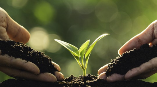AGRICULTURE